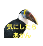 動物まみれ(再販)（個別スタンプ：15）