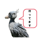 動物まみれ(再販)（個別スタンプ：28）