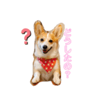 愛犬チャオズ（個別スタンプ：2）