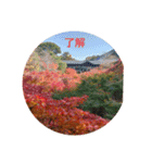 紅葉京都（個別スタンプ：2）