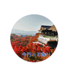 紅葉京都（個別スタンプ：4）