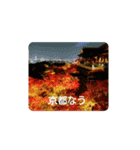 紅葉京都（個別スタンプ：14）