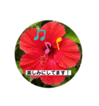 manabu4502-1（個別スタンプ：4）