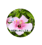 manabu4502-1（個別スタンプ：6）