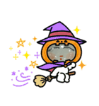 オカメん太郎（個別スタンプ：1）