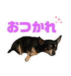 ゆっちゃんLv.2（個別スタンプ：3）