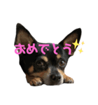 ゆっちゃんLv.2（個別スタンプ：18）