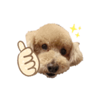 きなこおぉ（個別スタンプ：6）