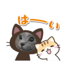 いぬとも＆ねことも☆丑っしっし（個別スタンプ：5）