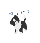 パピボー ボーダーコリー（個別スタンプ：2）