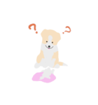パピボー ボーダーコリー（個別スタンプ：6）