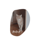 表現、挨拶nekomakitvオリジナルスタンプ（個別スタンプ：7）