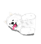 SAMOYED LOVE 4（個別スタンプ：9）