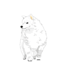 SAMOYED LOVE 4（個別スタンプ：11）