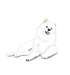 SAMOYED LOVE 4（個別スタンプ：17）