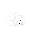 SAMOYED LOVE 4（個別スタンプ：27）