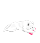 SAMOYED LOVE 4（個別スタンプ：29）