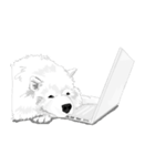 SAMOYED LOVE 4（個別スタンプ：30）