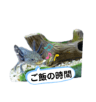 ウーパールーパーのウパパ♡スタンプ♡（個別スタンプ：8）