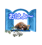 そら豆くん あいさつ（個別スタンプ：3）