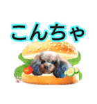 そら豆くん あいさつ（個別スタンプ：8）