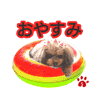 そら豆くん あいさつ（個別スタンプ：14）