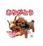 そら豆くん あいさつ（個別スタンプ：19）