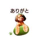 そら豆くん あいさつ（個別スタンプ：20）