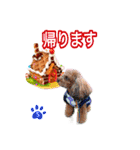 そら豆くん あいさつ（個別スタンプ：26）