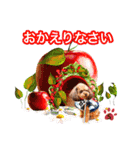 そら豆くん あいさつ（個別スタンプ：29）