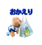 そら豆くん あいさつ（個別スタンプ：30）