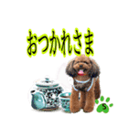 そら豆くん あいさつ（個別スタンプ：31）