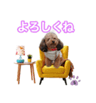 そら豆くん あいさつ（個別スタンプ：33）