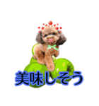 そら豆くん たのしい（個別スタンプ：5）