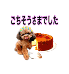 そら豆くん たのしい（個別スタンプ：6）