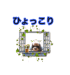 そら豆くん たのしい（個別スタンプ：8）