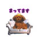 そら豆くん たのしい（個別スタンプ：12）