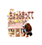 そら豆くん たのしい（個別スタンプ：16）