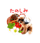 そら豆くん たのしい（個別スタンプ：17）