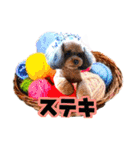 そら豆くん たのしい（個別スタンプ：18）