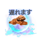 そら豆くん たのしい（個別スタンプ：21）
