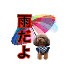 そら豆くん たのしい（個別スタンプ：26）