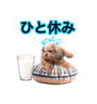 そら豆くん たのしい（個別スタンプ：29）