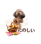 そら豆くん たのしい（個別スタンプ：34）