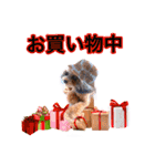 そら豆くん たのしい（個別スタンプ：35）
