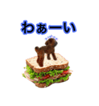 そら豆くん たのしい（個別スタンプ：36）