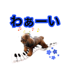 そら豆くん たのしい（個別スタンプ：37）
