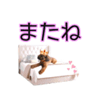 そら豆くん たのしい（個別スタンプ：39）