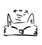 オコオコニャンコ「第2ダン！✨」（個別スタンプ：2）