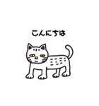 きもかわにゃんこ2（個別スタンプ：1）